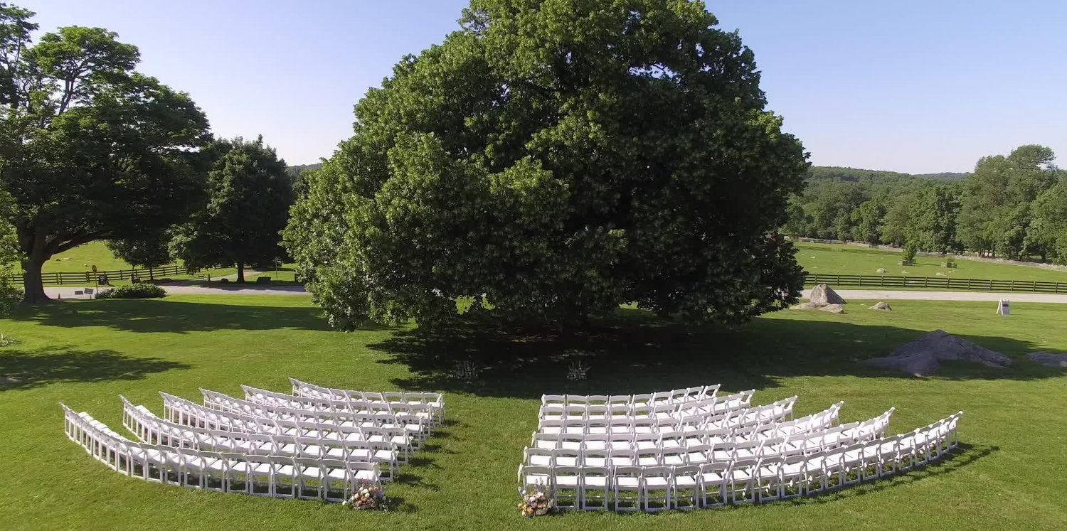 The Wedding Website of Eliana Bruni and William Farmer
