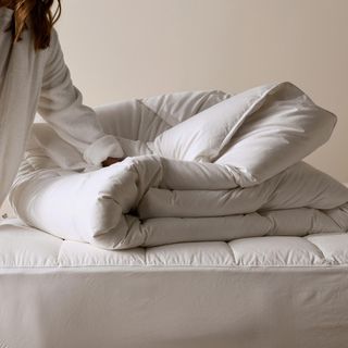 Down Duvet Insert