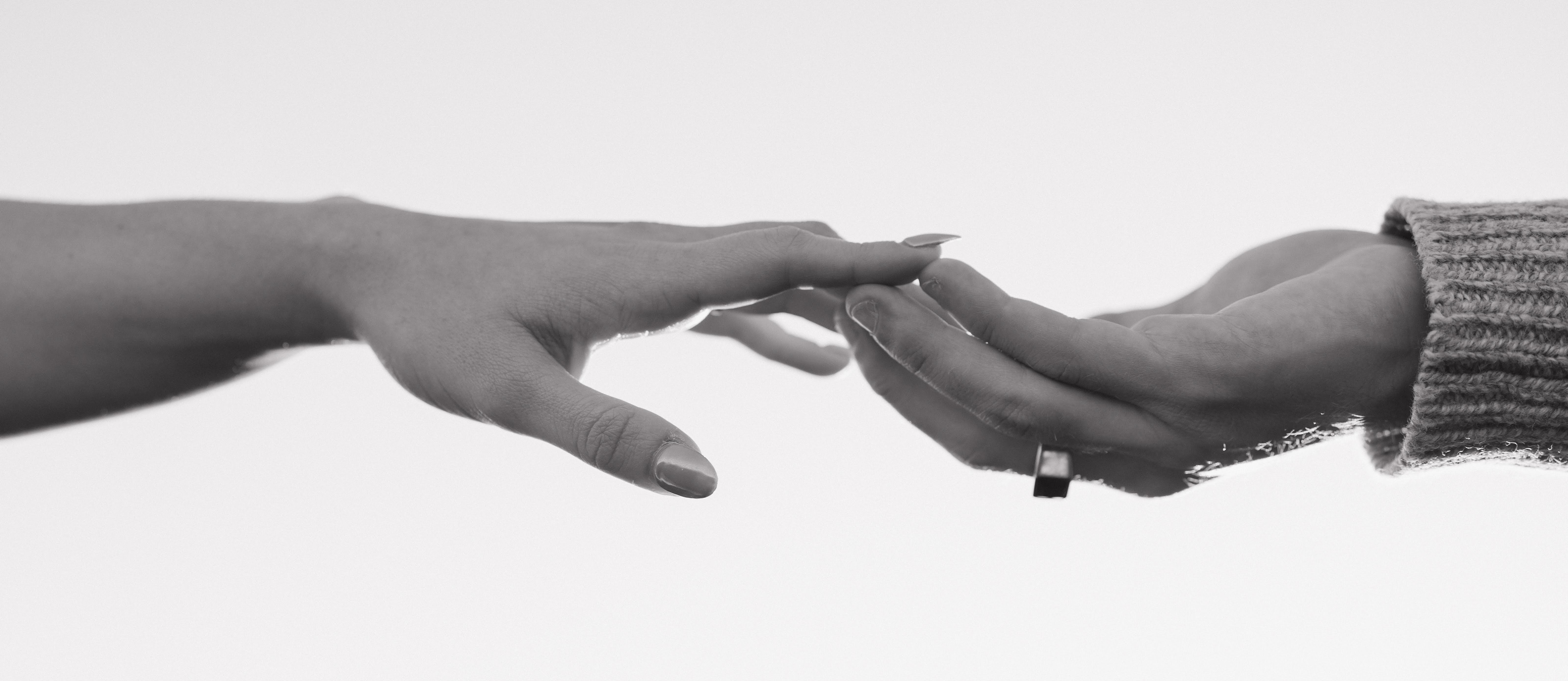 The Wedding Website of Cassidy Cheshire and Felix Honnér