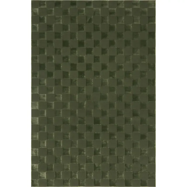 Nuloom Alaiya Checkered Pet Friendly Textured Machine Washable Area Rug, 5' x 8', Green