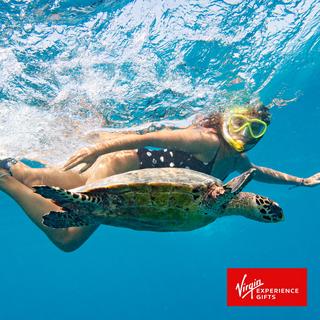 Snorkel with Sea Turtles for 2 - Oahu