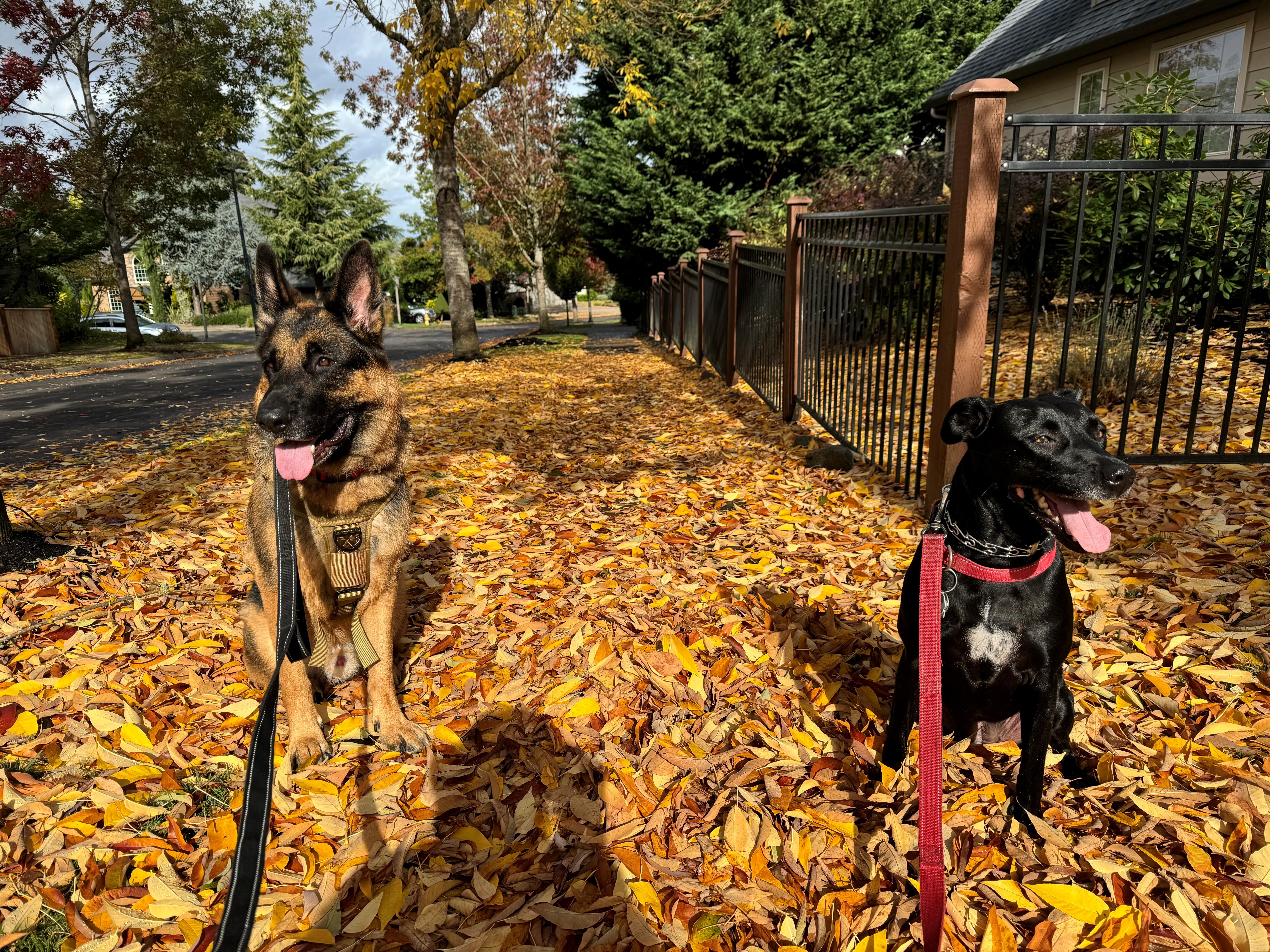 The Wedding Website of Taylor Gersch and Dustin Messner