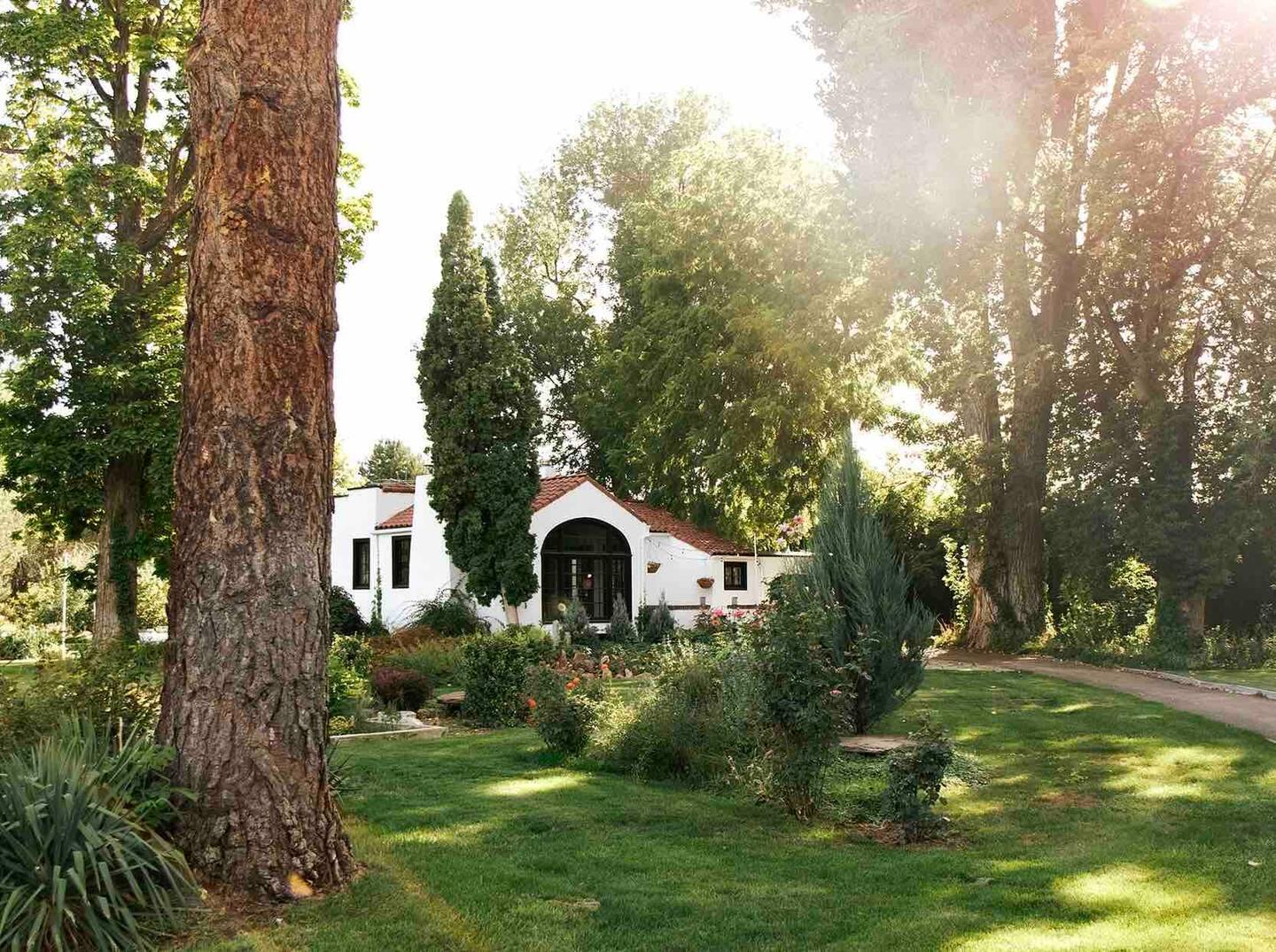 The Wedding Website of Gibson Greenlee and Emma Smith