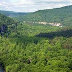 Ouachita National Forest