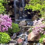 Anderson Japanese Gardens
