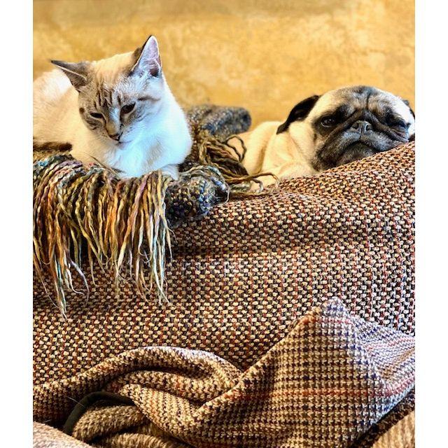 Double trouble!