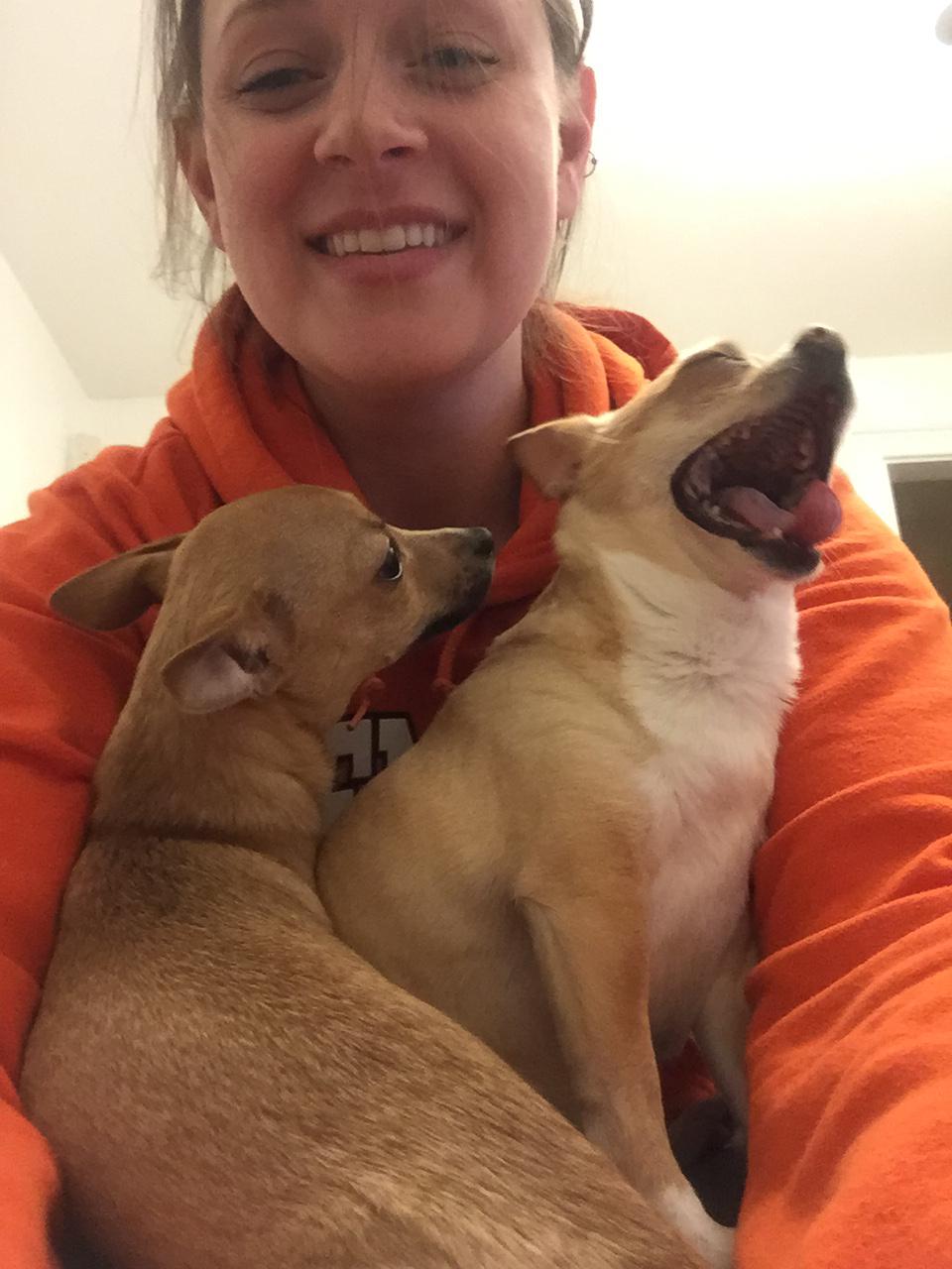 Puppy Emma joins the pack - 2017