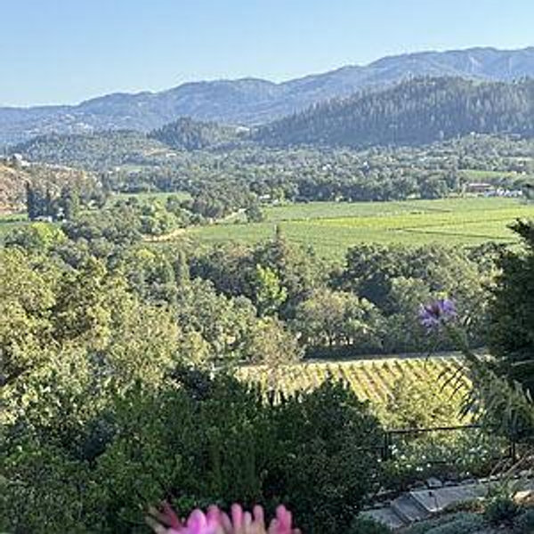 Napa Adventure