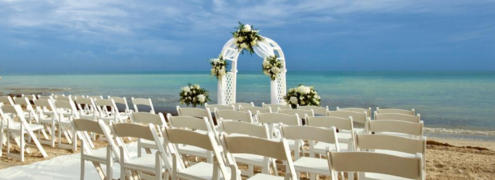 The Wedding Website of Ainesey Anaman and Francis Anaman