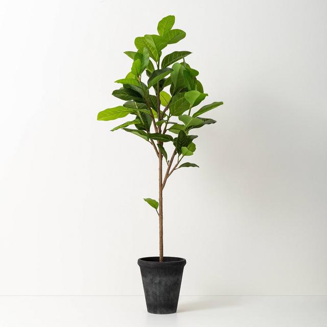 60" Faux Audrey Ficus Tree - Hearth & Hand™ with Magnolia