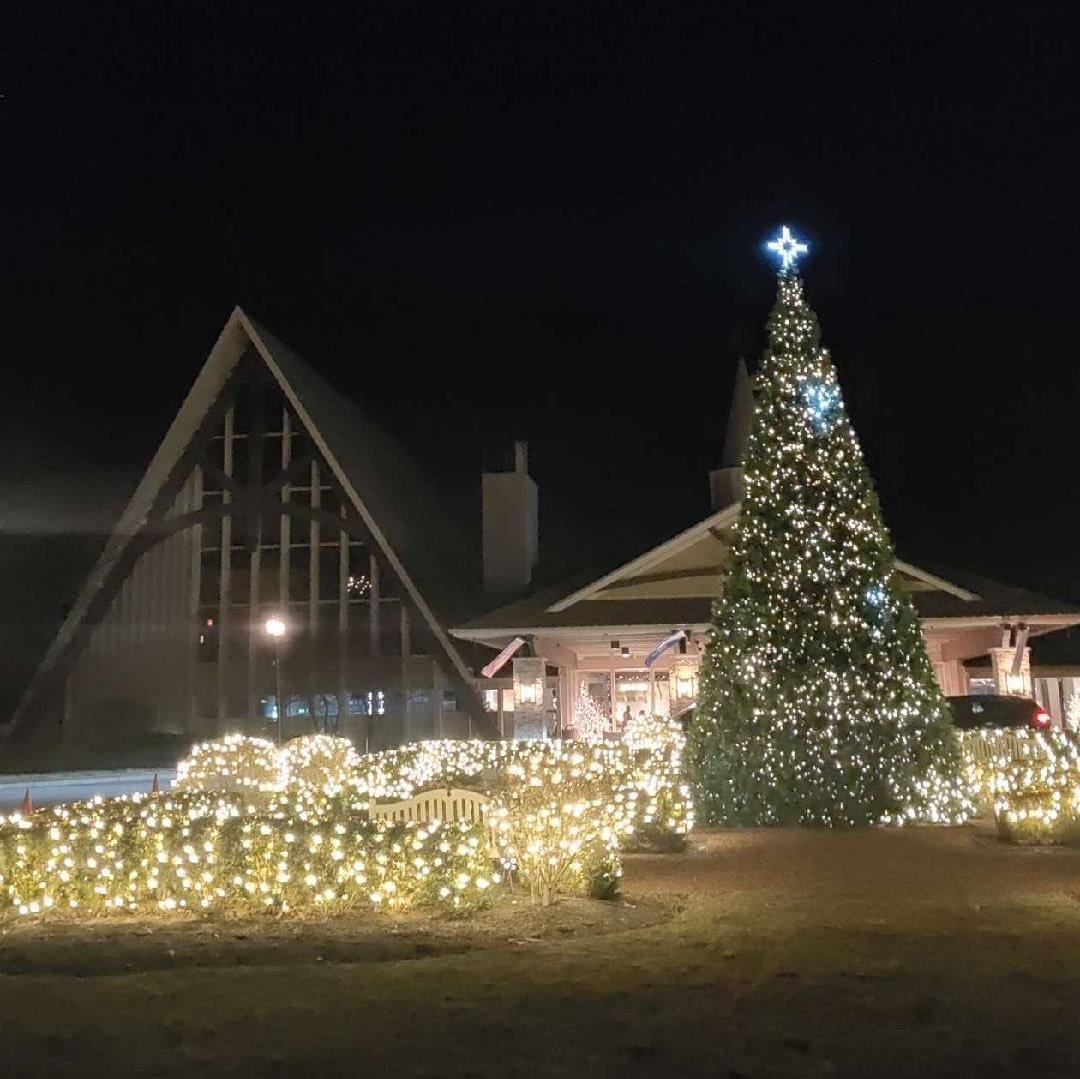 This looks like a good spot to get engaged.