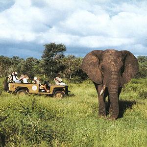 Honeymoon Fund: South Africa and Mozambique