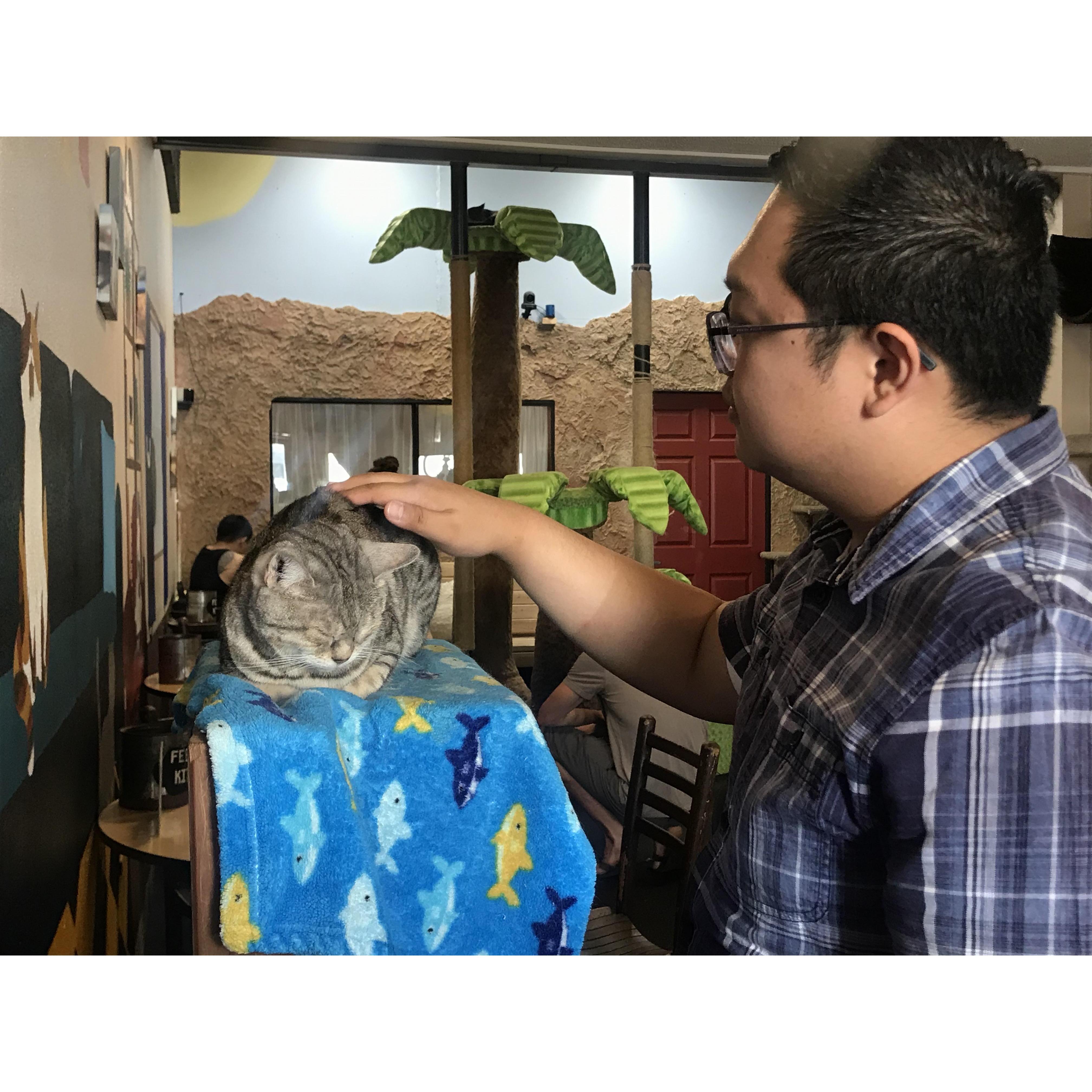 Jan petting Jayce the resident cat at the Cat Cafe in San Diego