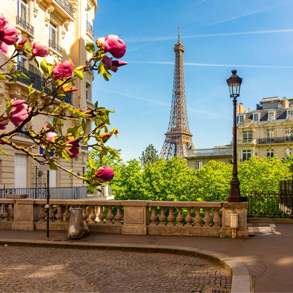 Rooftop Dinner in Paris