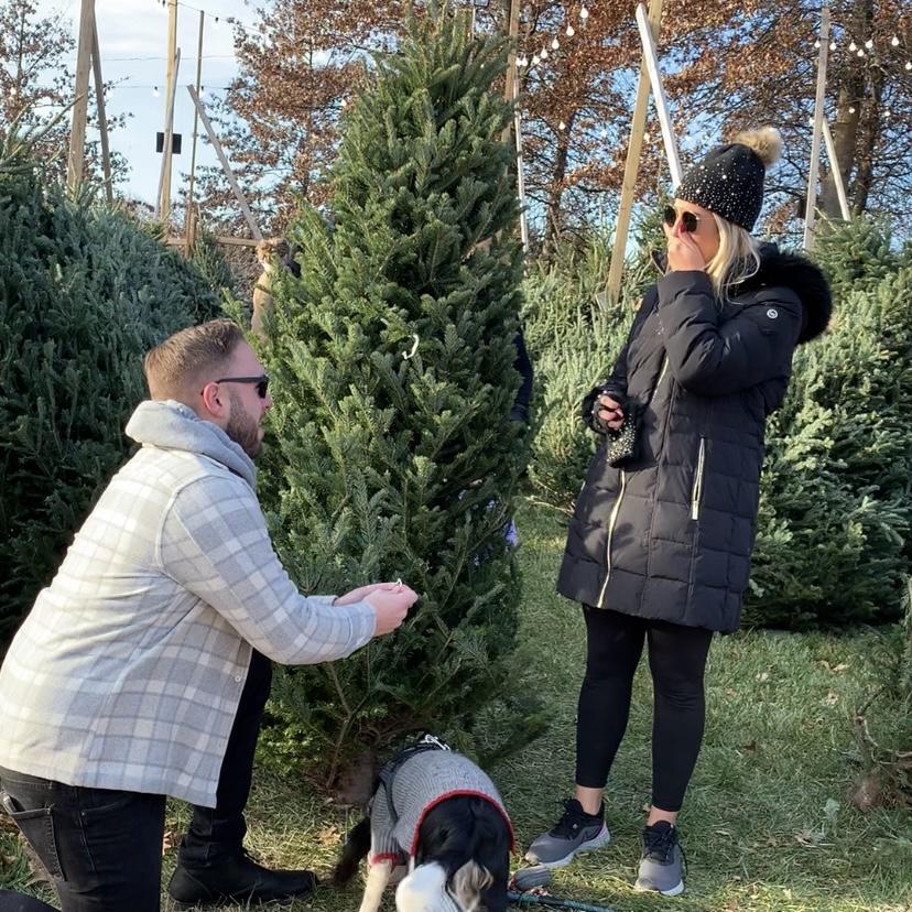 Andrew asking Jenna to marry him while picking out their Christmas tree!