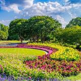 The Dallas Arboretum and Botanical Garden