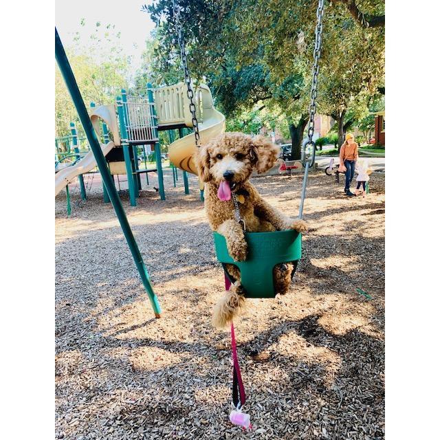 The baby of the house Penny <3