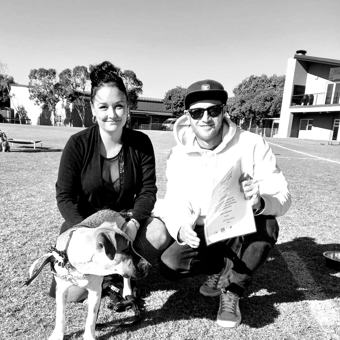 Advance dog training with Chester