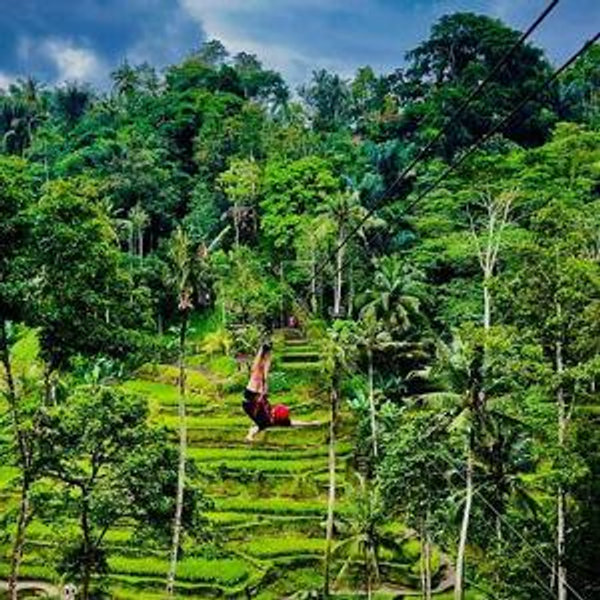 Zipline/jungle swing and waterfall tour