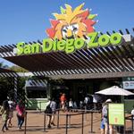 San Diego Zoo