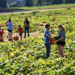 Shady Brook Farm