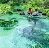 Manatee Park