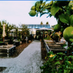 St. Clair Brown Winery & Brewery