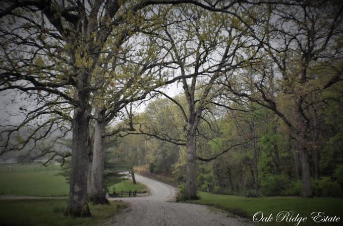 The Wedding Website of Danielle Wisdom and Cory Christensen