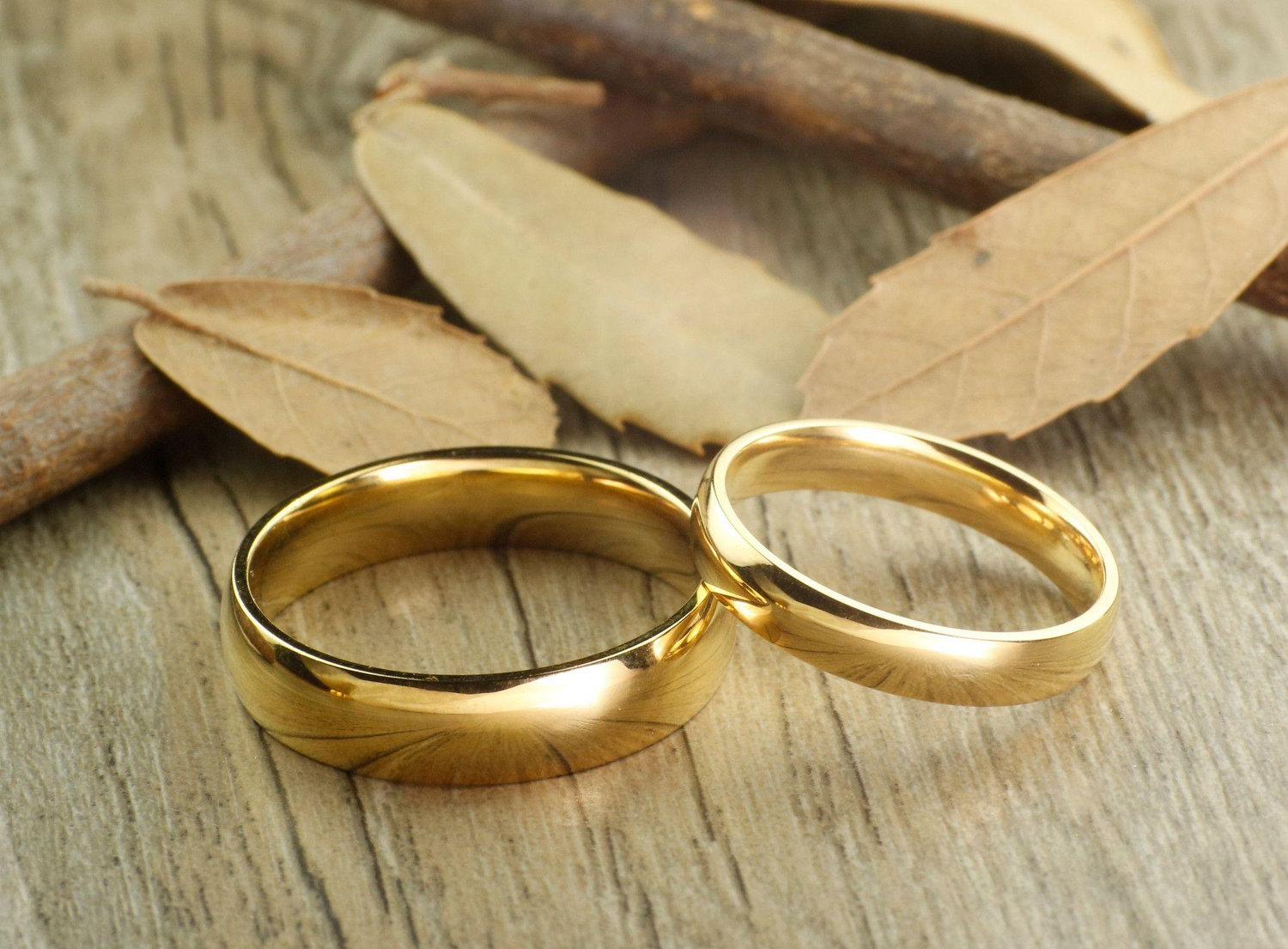 The Wedding Website of Isabel Mizhirumbay and Carl Forgo