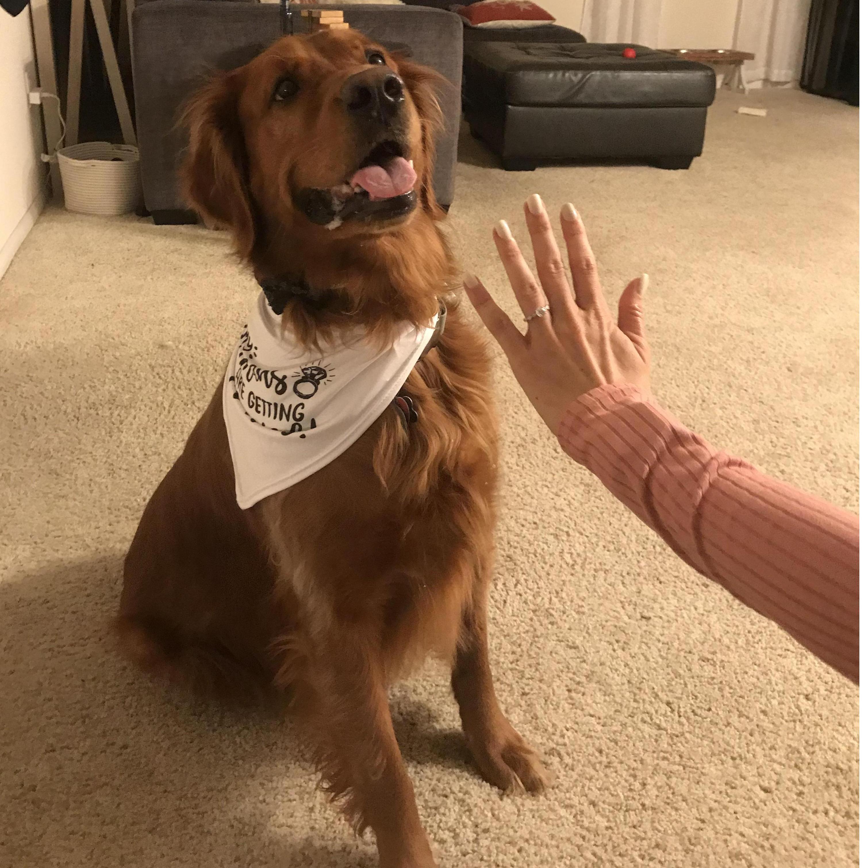 Crosby needed a little love on this page :)