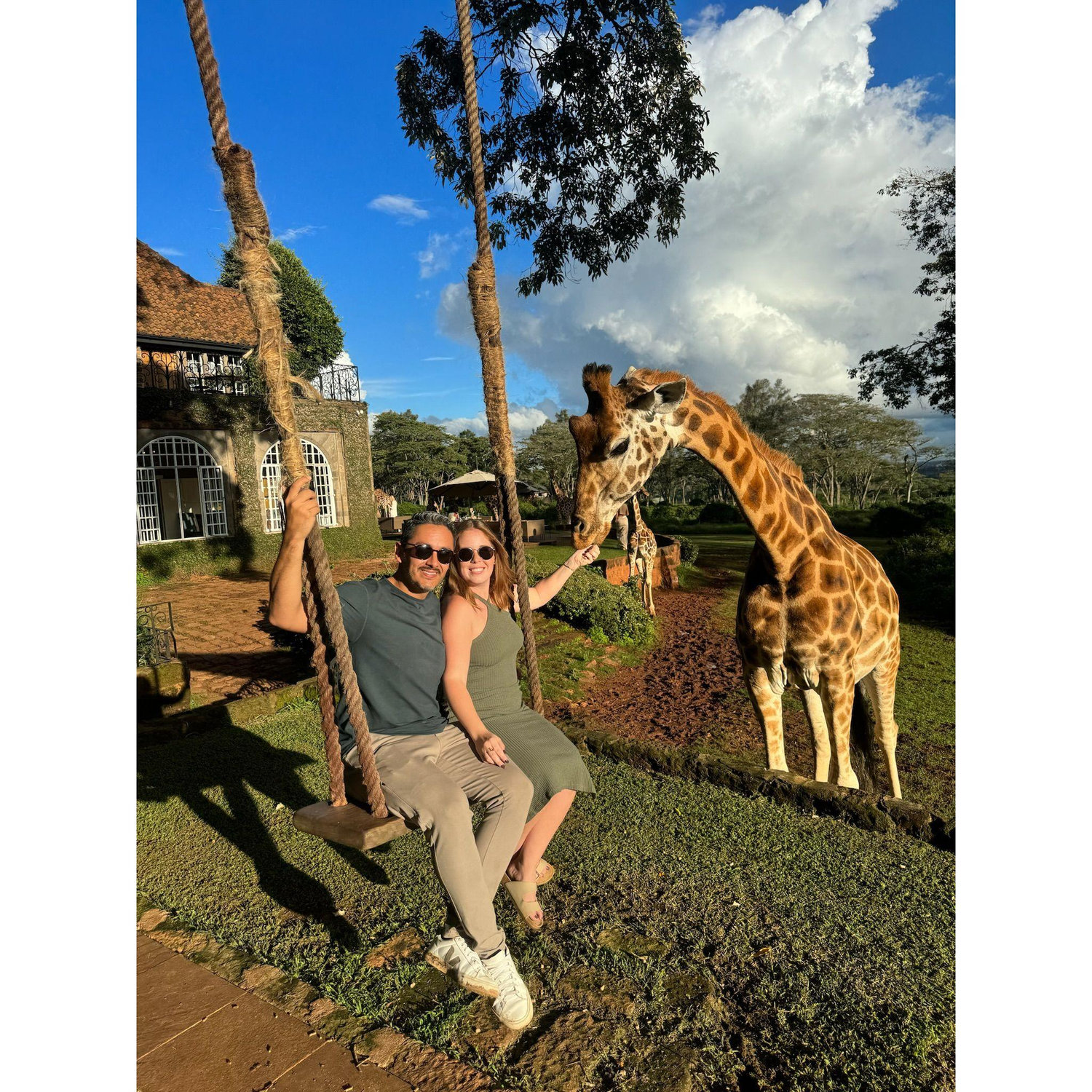 Sunset giraffe feed at the Giraffe Manor in Nairobi, Kenya