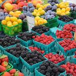 Madison Farmers Market