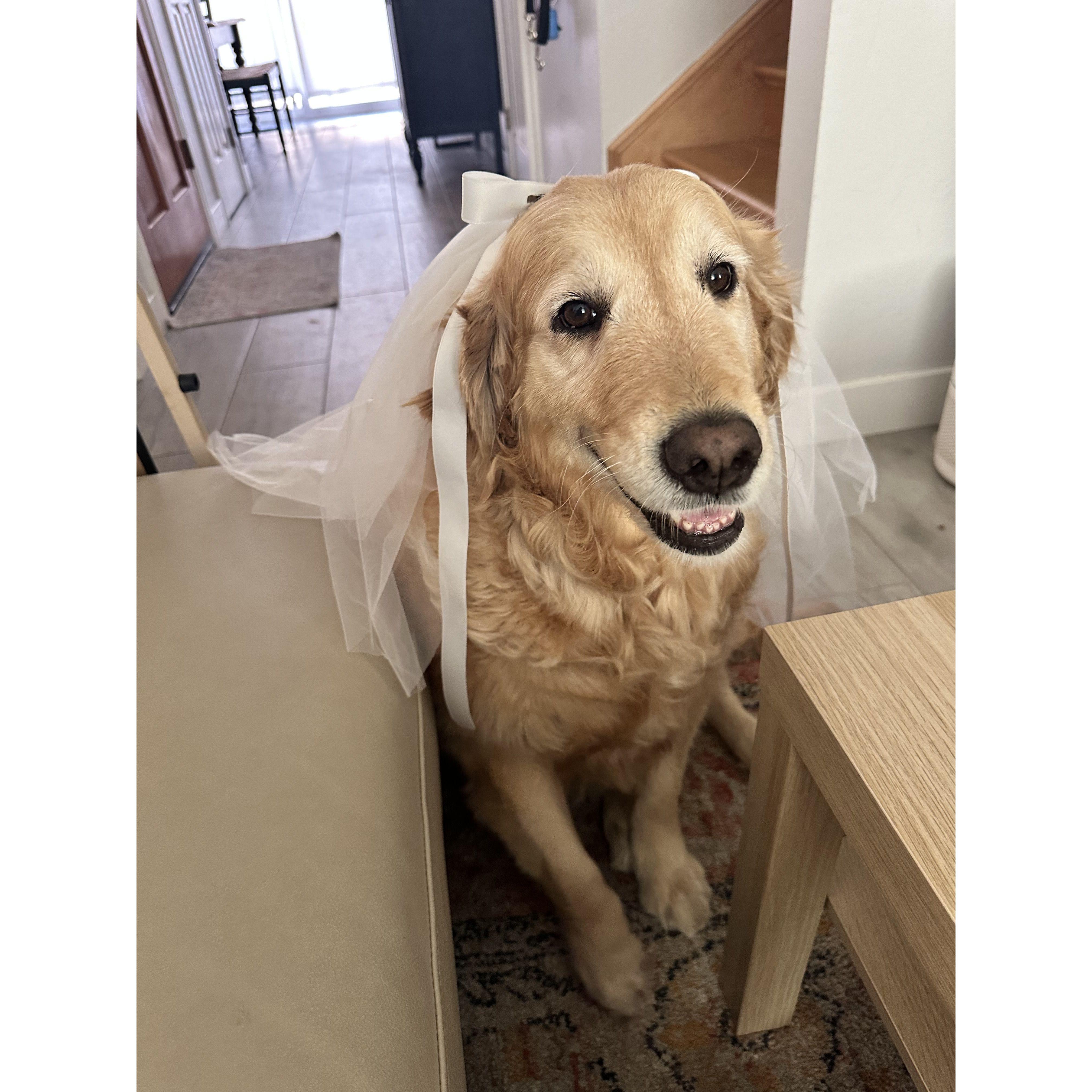 Hattie as a bride!