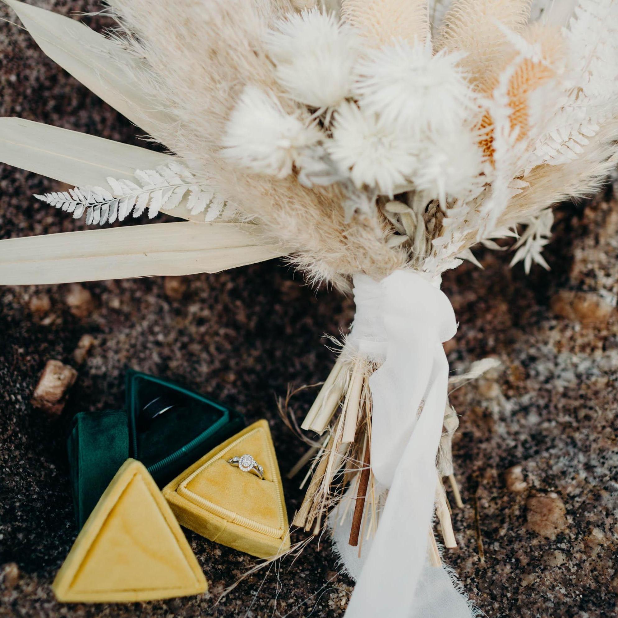 Elopement October 6th 2020 - photography: Molly Hansen