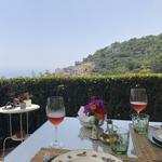 Vineyard Tour & Wine Tasting in Raito