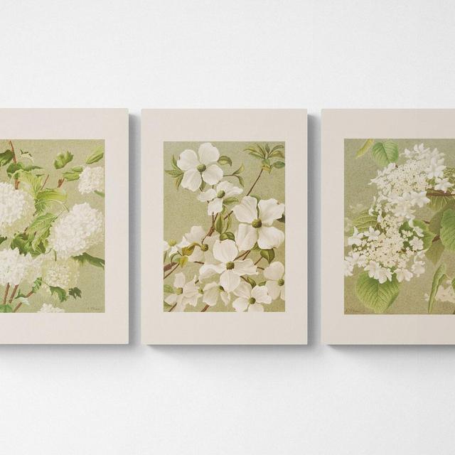 Vintage Botanical Print | Cottagecore Farmhouse French Country Watercolor Art | Digital Download | White Flowers | Gallery Wall Set of 3