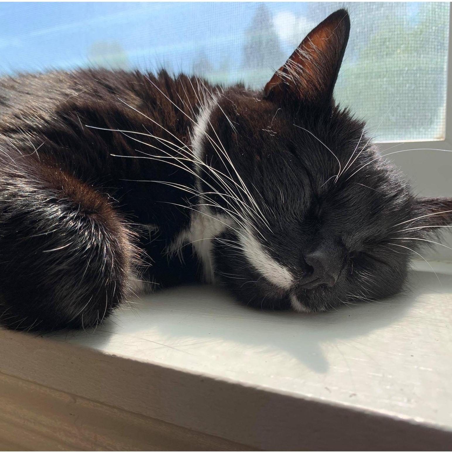 Our Mitzy girl.