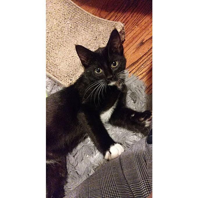 Growing the family again! Meet Delilah!