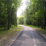↟ Greenway Trail