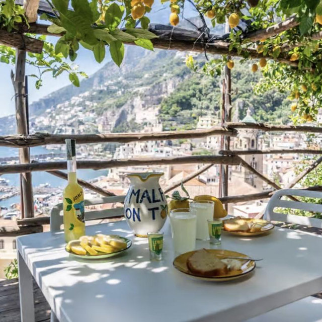 Honeymoon Amalfi Lemon Farm Tour/Tasting