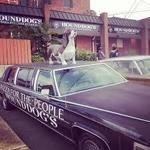 Hounddog's Pizza