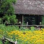Botanical Gardens at Asheville