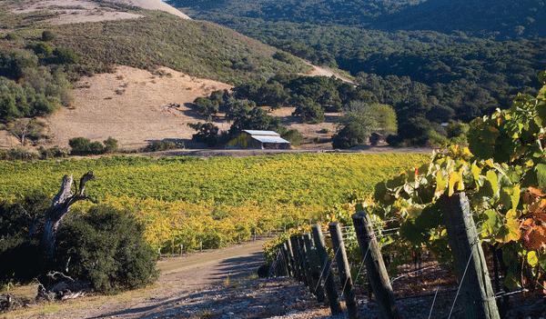 The Wedding Website of Ellie Moran and Nick Rudholm