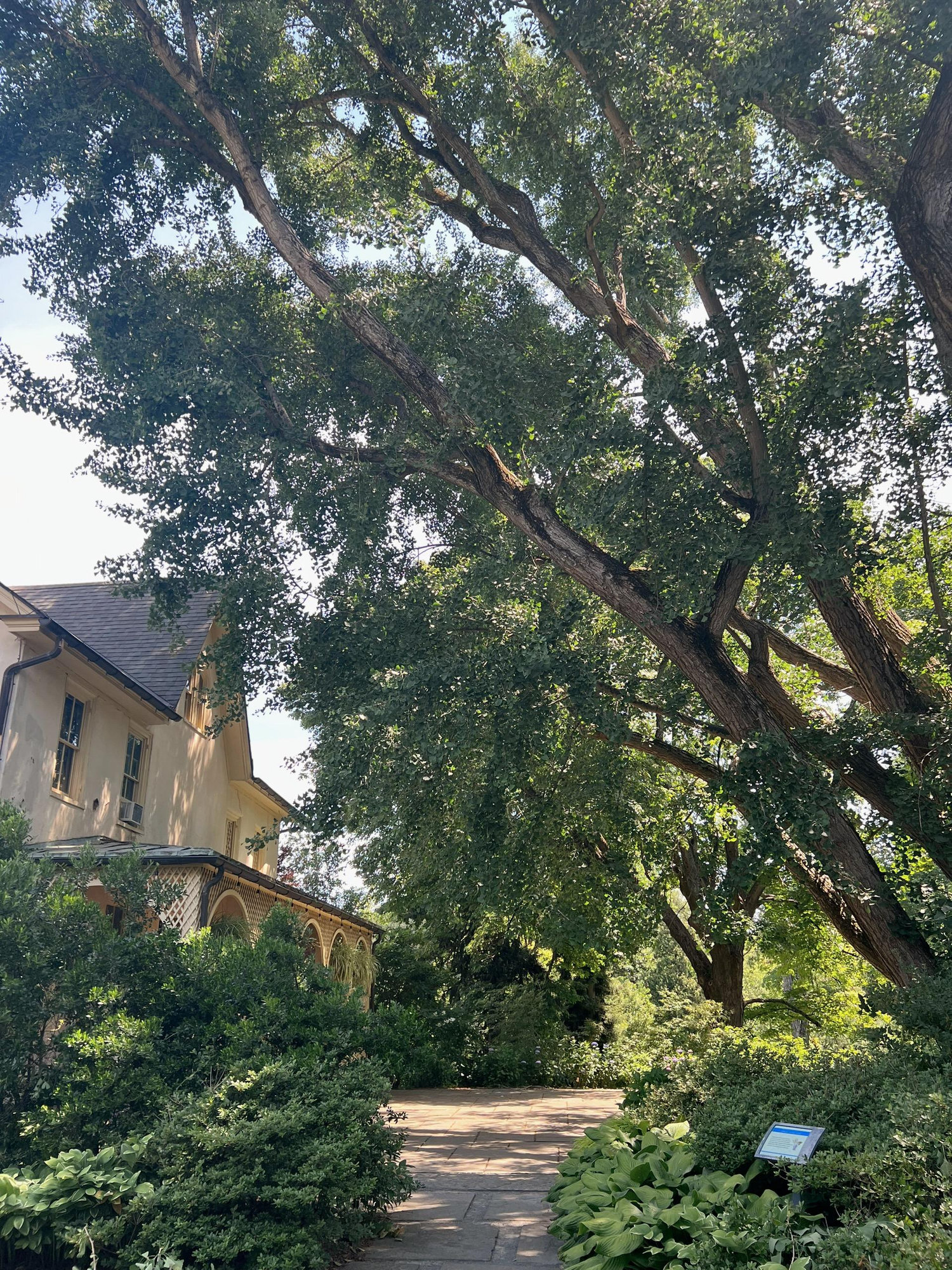 The Wedding Website of Sarah Reed and Ryan Dougherty