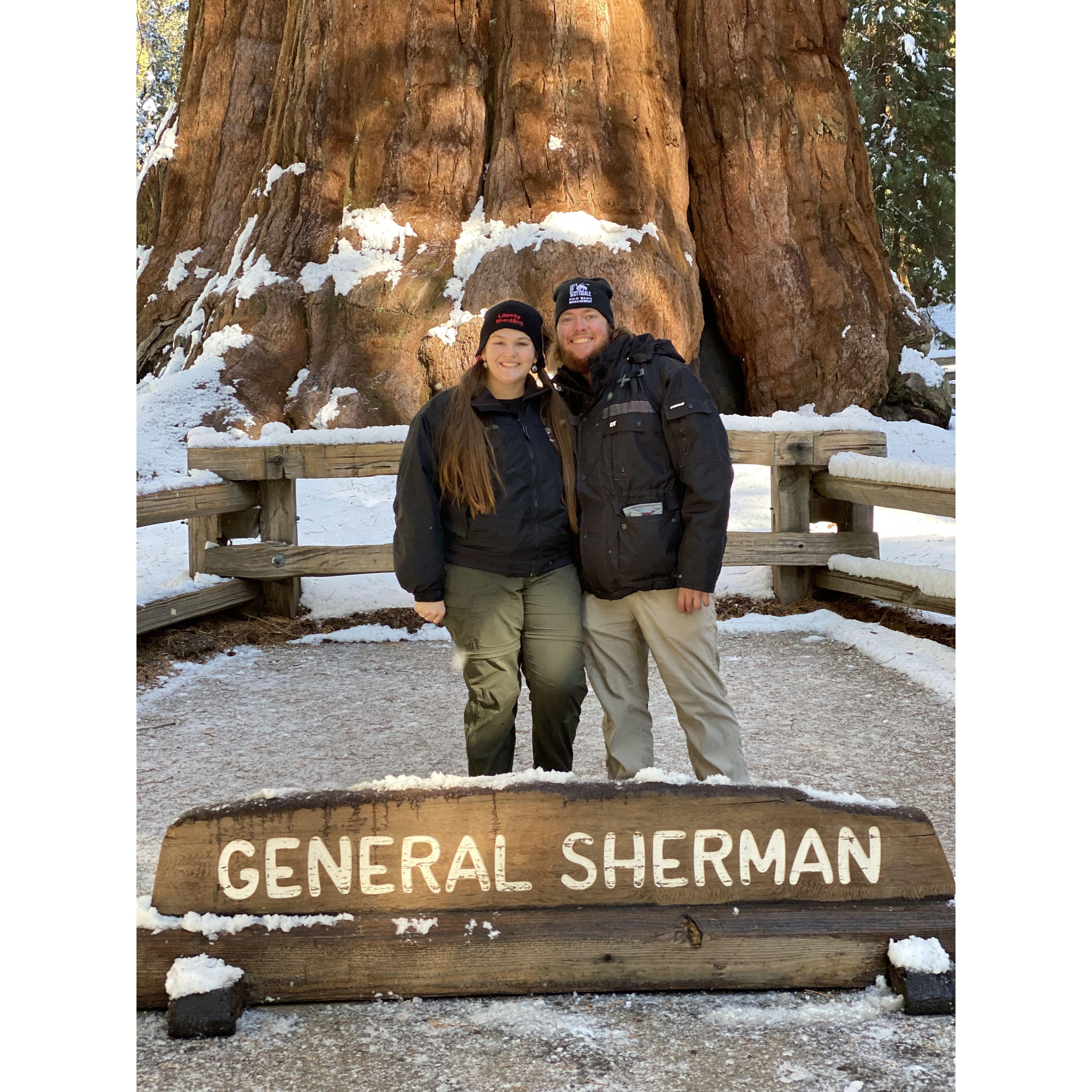A picture with Sherman, the biggest tree in the world by volume.