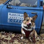 RoosRoast Coffee