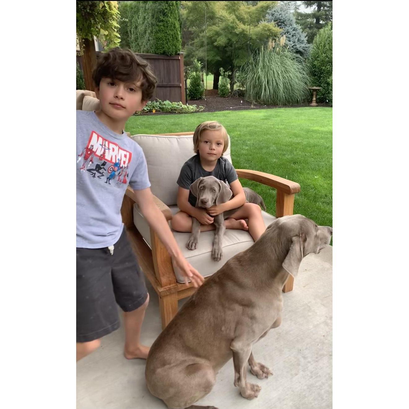 Meet the Alvarez boys! MacCallen and Holden; My Little Brother and Erin's handsome sons - we may be lucky to have one of both of these gentlemen be a ring bearer; wink wink