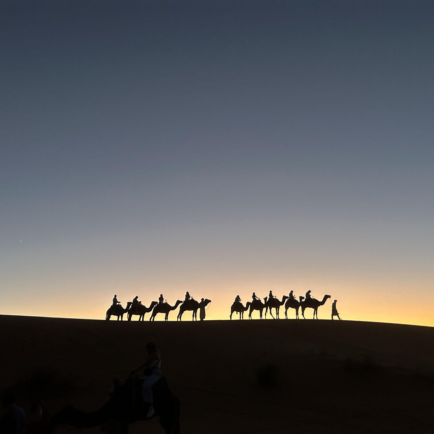 Sahara Sunset