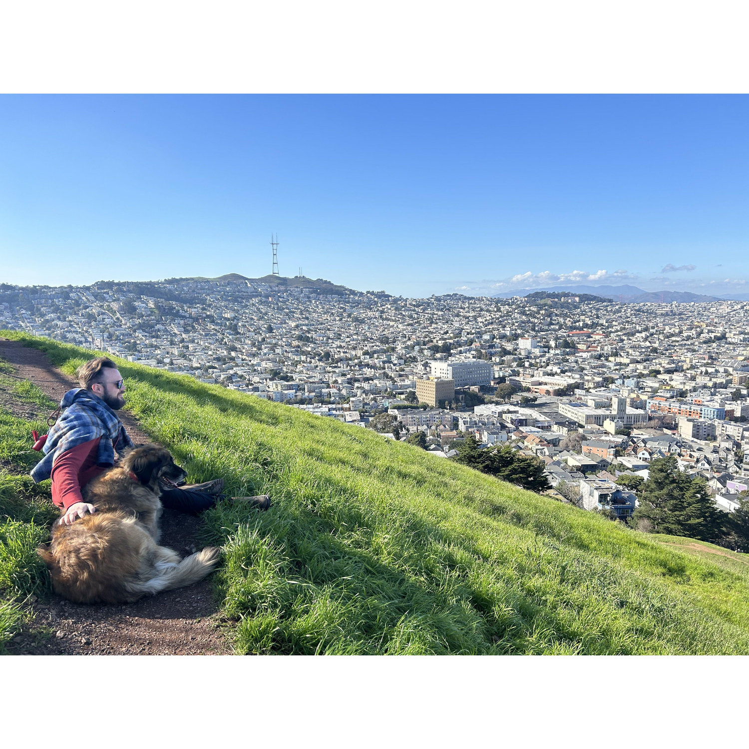 Our glorious city in SF! Gorgeous hill overlooking the city, about 1 mile from our house so we frequent the top often.