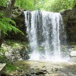 Charleston Falls Preserve